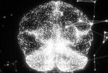 真实版“最强大脑”研究,浪潮存储承载起脑科研PB级新数据-DOIT