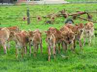 多头小牛拉车:商业银行转型云化-DOIT-数据产业媒体与服务平台
