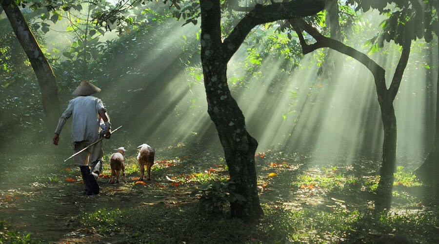 新华三,新在哪里?-存储在线-存储专业媒体