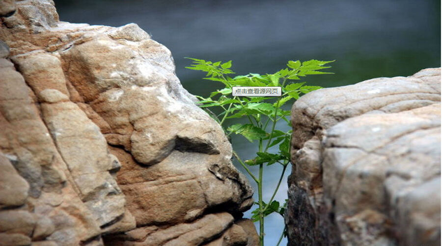 曙光选用10K希捷硬盘真正原因-存储在线-存储专业媒体