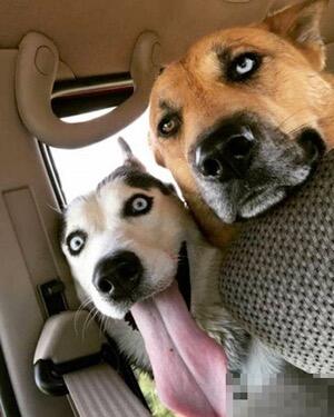 Nutanix的超融合跑在UCS上了，Nutanix很激动，思科表示不想说话-存储在线-存储专业媒体