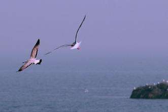 2016移动智能终端峰会,这高端论剑该瞅点啥?-存储在线-存储专业媒体