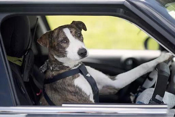 吴甘沙:错过PC、互联网,不再错过无人驾驶-存储在线-存储专业媒体