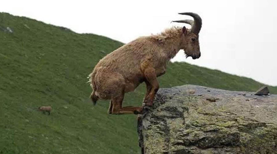 这个节骨眼,SATA SSD?美光说,是的!-存储在线-存储专业媒体