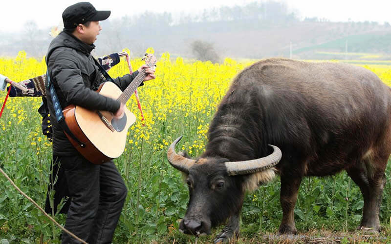 绿色和平组织向BAT发难,找错了对象!-存储在线-存储专业媒体