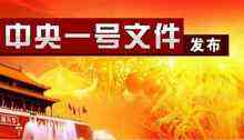 中央一号文件发布,新阶段“三农”工作新主线解读-DOIT-数据产业媒体与服务平台