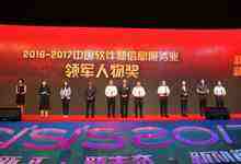 2016-2017中国软件和信息服务业年度奖项揭晓-DOIT-数据产业媒体与服务平台