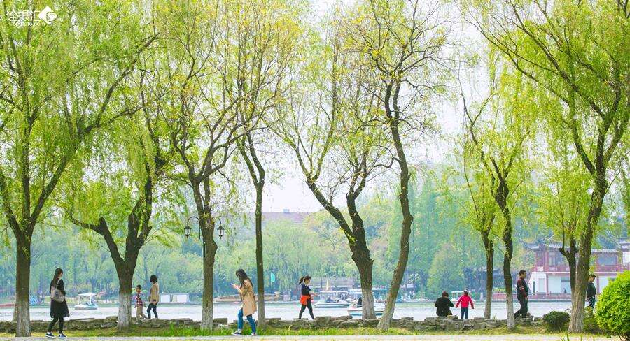 分布式软件定义存储的春天到来吗？看XSKY如何出招！-存储在线-存储专业媒体