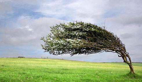 存储市场要起风了吗？明天见分晓！-存储在线-存储专业媒体