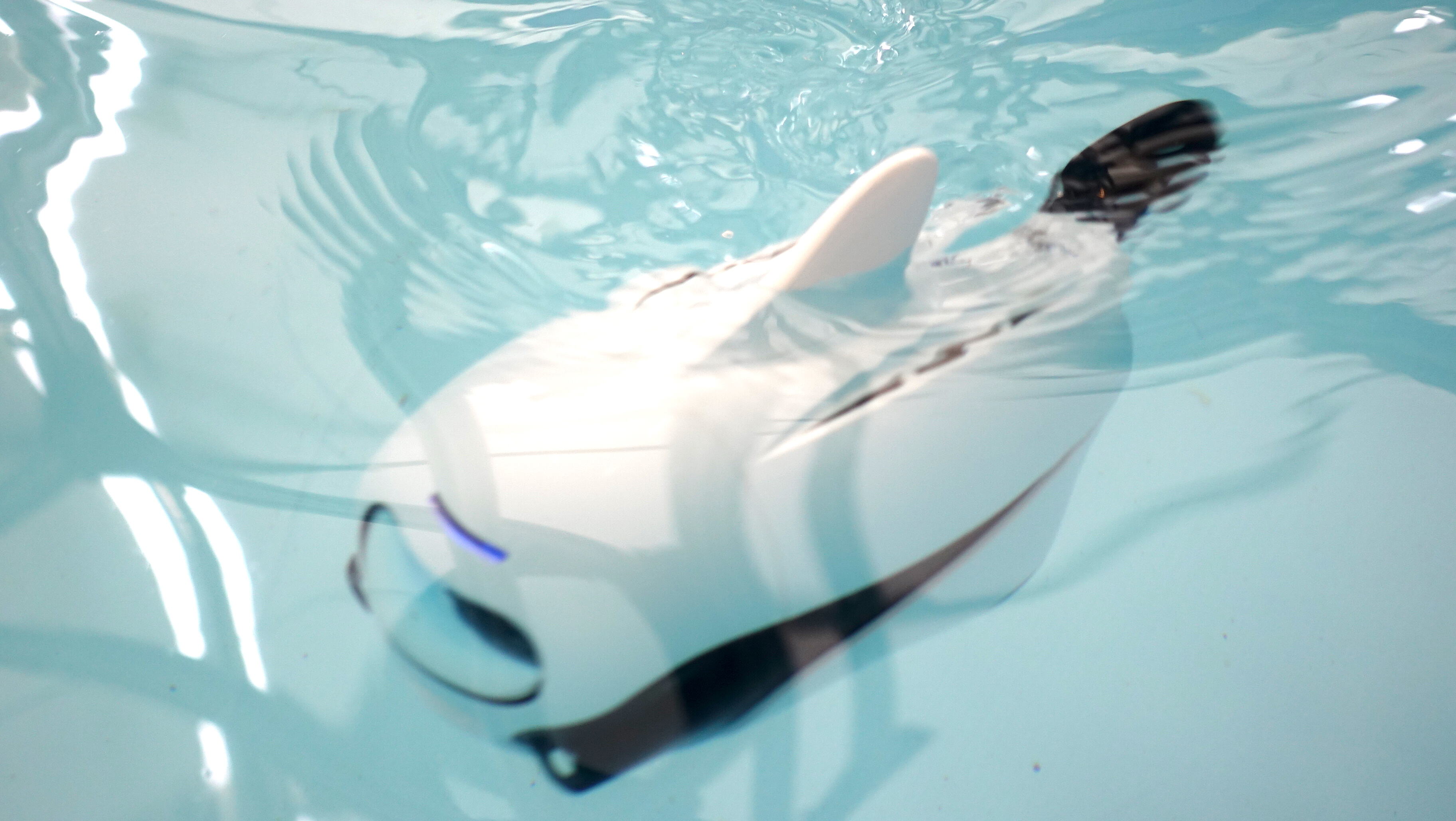 ROBOSEA 创始人熊明磊:水下无人机刚到航拍机精灵2时代-存储在线