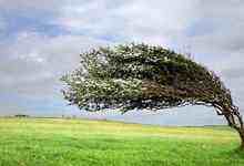 存储市场要起风了吗?明天见分晓!-DOIT-数据产业媒体与服务平台