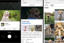 搜狗图片搜索与小米手机深度合作 携手为用户带来AI识图新体验-DOIT-数据产业媒体与服务平台