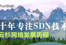 云杉网络完成B+轮1100万美金融资,目标SDN in China-DOIT-数据产业媒体与服务平台
