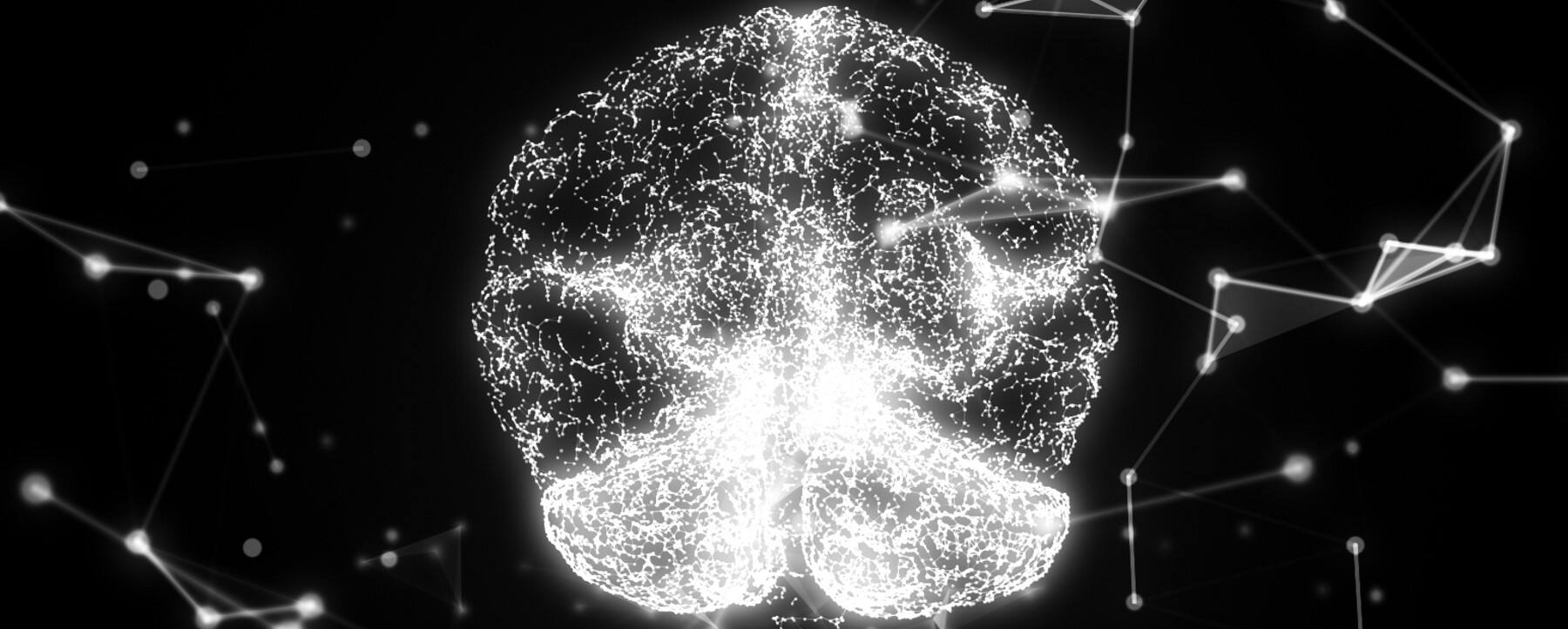 真实版“最强大脑”研究,浪潮存储承载起脑科研PB级新数据-存储在线