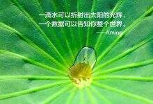 全球存储简史(第二版)-存储在线