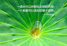 全球存储简史(第二版)-存储在线-存储专业媒体