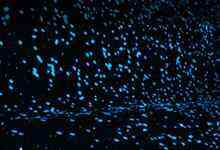 热点活动| 欢迎来到Flash Memory World-存储在线-存储专业媒体