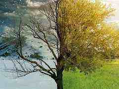 PC市場(chǎng)新思考：凜冬已至VS 觸發(fā)新機(jī)遇？-DOIT-數(shù)據(jù)產(chǎn)業(yè)媒體與服務(wù)平臺(tái)