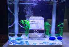 西部数据:硬盘,该“泡”就“泡”-存储在线-存储专业媒体