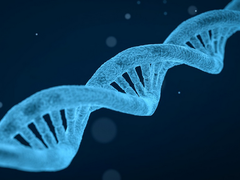 阿里云推出免费AI工具以对抗冠状病毒-DOIT-数据产业媒体与服务平台