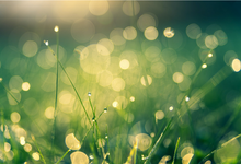 2020软件定义存储峰会第一波金句来啦-存储在线-存储专业媒体