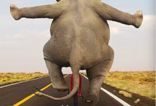 终于，大内存计算来了-存储在线-存储专业媒体