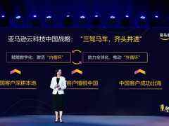 “三驾马车,齐头并进”,亚马逊云科技发布中国业务战略-DOIT-数据产业媒体与服务平台
