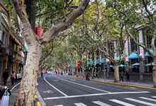 有梧桐树的地方,才是上海-存储在线-存储专业媒体