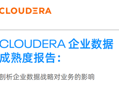 如何提高企业数据成熟度?看看这份报告先-DOIT-数据产业媒体与服务平台