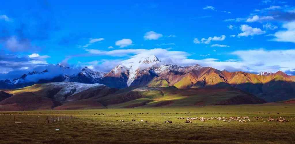 《天翼云助力西藏打通政务服务“最后一公里”》