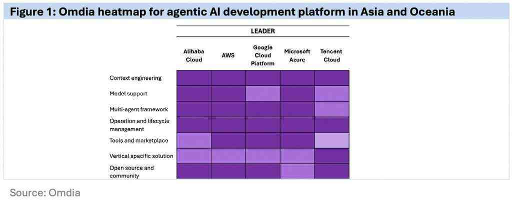 国际权威报告：阿里云获评Agentic AI开发平台市场领导者-DOIT-数据产业媒体与服务平台