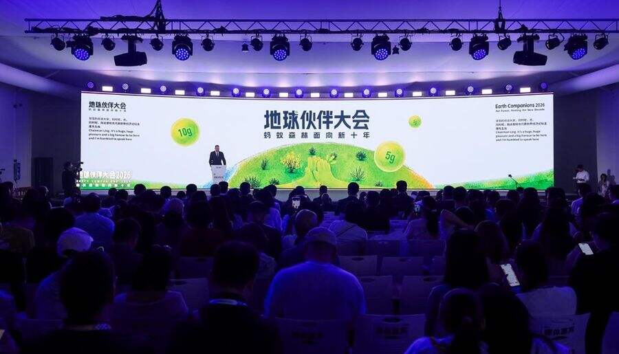 从“异想天开”到与7亿人同行：透过蚂蚁森林的十年遇见共同守护的未来